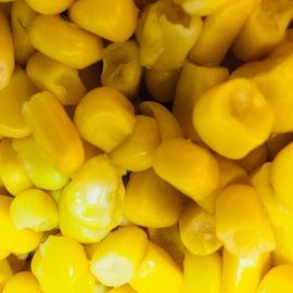 Fresh sweetcorn that our team use